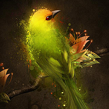 高级专业版本的ddos攻击测试